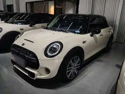 MINI MINI 2020