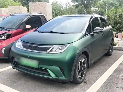 BYD Dolphin 2022