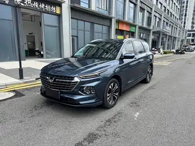 Wuling Motors Victory 2021
