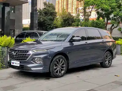 Wuling Motors Victory 2021