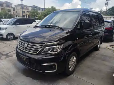 Dongfeng Fengxing Lingzhi 2020