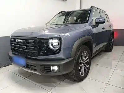Haval Big Dog 2025