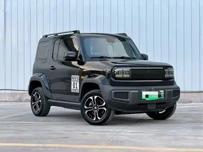 Baojun Yep 2023
