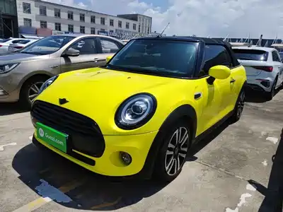 MINI MINI 2019