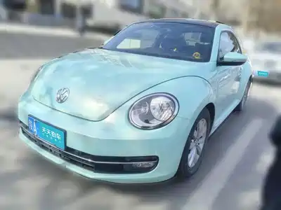 Volkswagen Beetle 2014