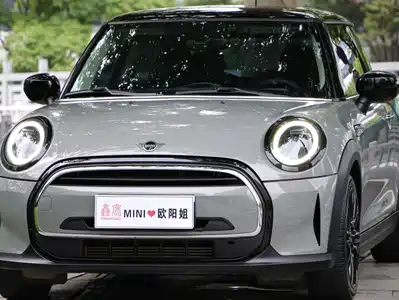 MINI MINI 2021