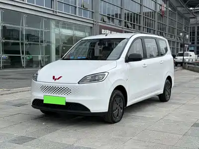 Wuling Motors Hongguang New Energy 2026