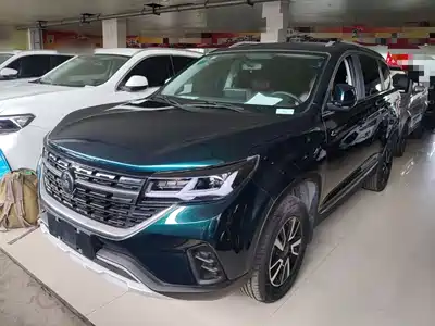 Dongfeng Fengxing T5 2023