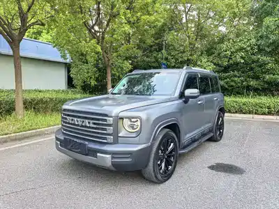Haval Meng Long NEV 2024