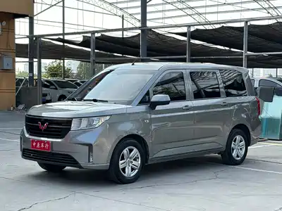 Wuling Motors Hongguang PLUS 2019