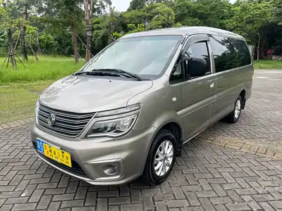 Dongfeng Fengxing Lingzhi 2019