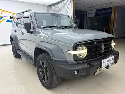 Tank 300 2021