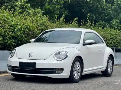 Volkswagen Beetle 2013