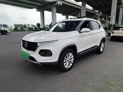 Baojun 510 2019