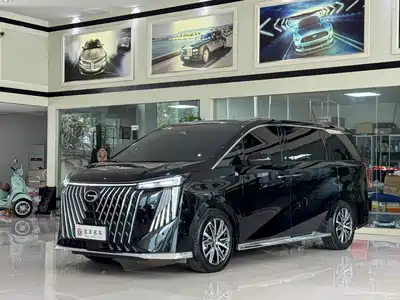 GAC Trumpchi M8 2024