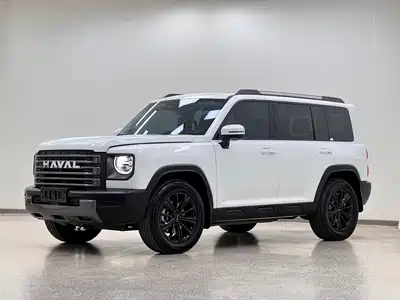 Haval Meng Long NEV 2025