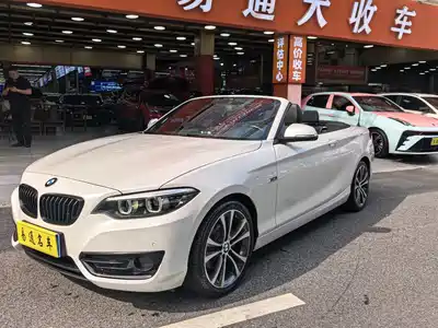 BMW 2 Series (Import) 2021