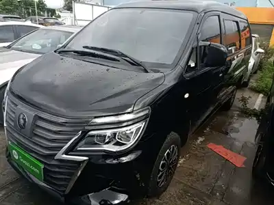 Dongfeng Fengxing Lingzhi New Energy 2026