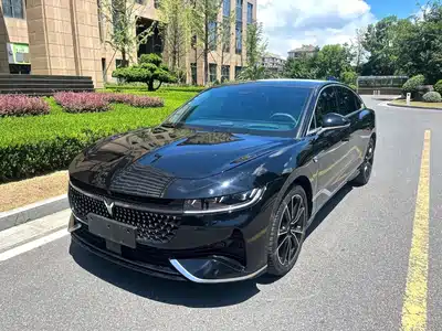 Voyah Auto Zhuiguang 2024
