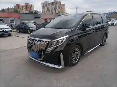GAC Trumpchi M8 2021