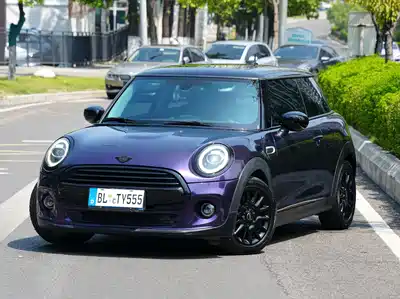 MINI MINI 2019
