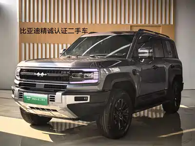 Fang Cheng Bao Leopard 5 2024