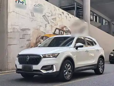 Borgward BX5 2021