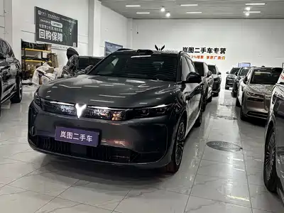 Voyah Auto FREE 2025