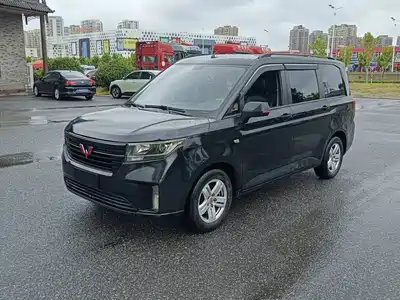Wuling Motors Hongguang PLUS 2019