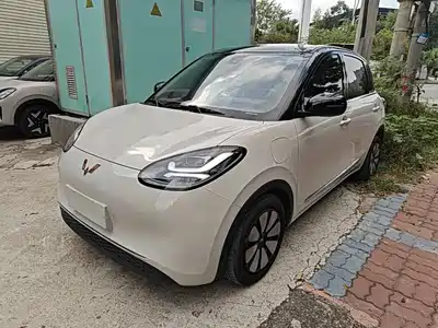 Wuling Motors Bingo 2023