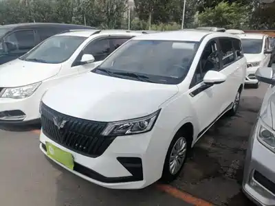 Wuling Motors Jiachen 2025