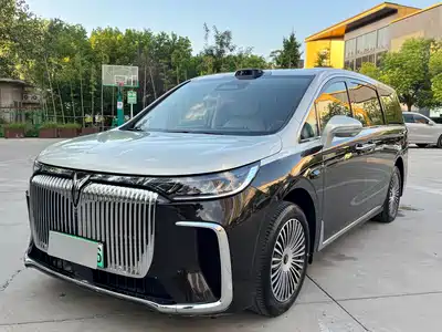Voyah Auto Dreamer 2024