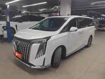 GAC Trumpchi M8 2024