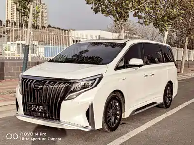 GAC Trumpchi M8 2021