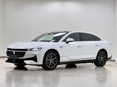 Voyah Auto Zhuiguang 2024
