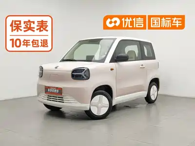 Zhido Rainbow 2025