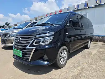 Dongfeng Fengxing Lingzhi 2023