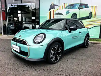MINI MINI 2025