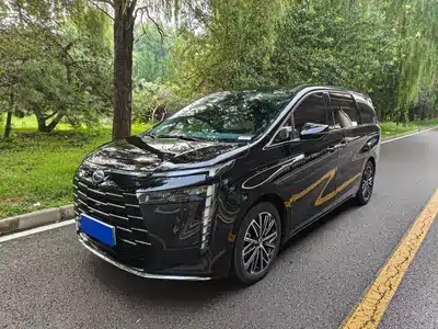 GAC Trumpchi E8 NEV 2024