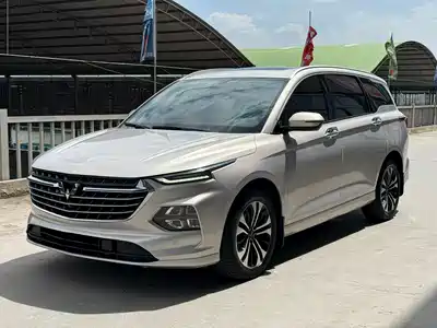 Wuling Motors Victory 2021
