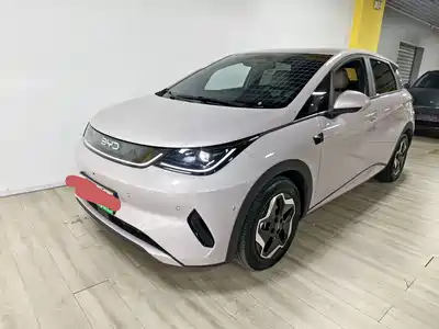 BYD Dolphin 2025