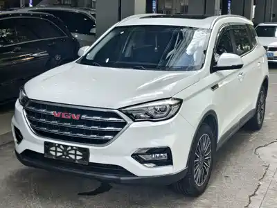 Sinotruk VGV VGV U70 2022
