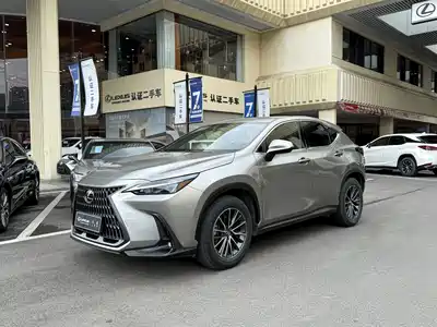 Lexus NX 2023