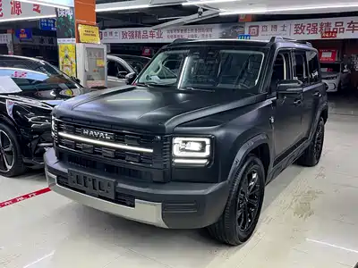 Haval Meng Long NEV 2026