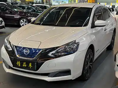 Nissan Sylphy Zero Emission 2020