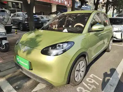Wuling Motors Bingo 2024