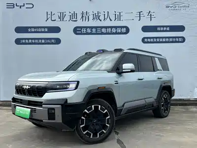 Fang Cheng Bao Leopard 8 2024