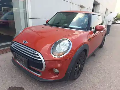 MINI MINI 2018