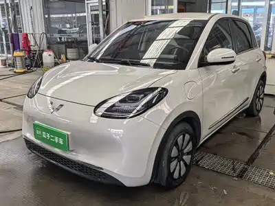 Wuling Motors Bingo 2024