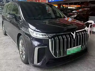 Voyah Auto Dreamer 2024